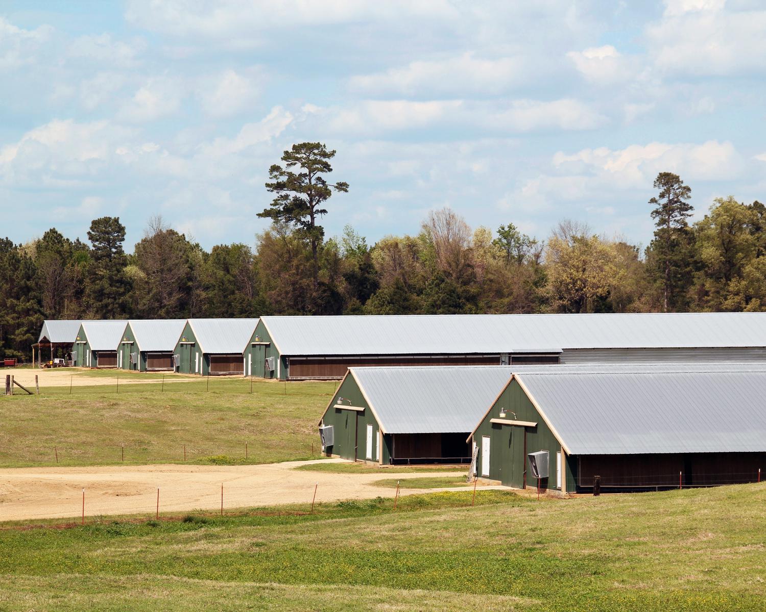 Arkansas loans for poultry houses. Arkansas poultry financing. Financing for poultry equipment and improvements.