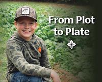 From Plot to Plate