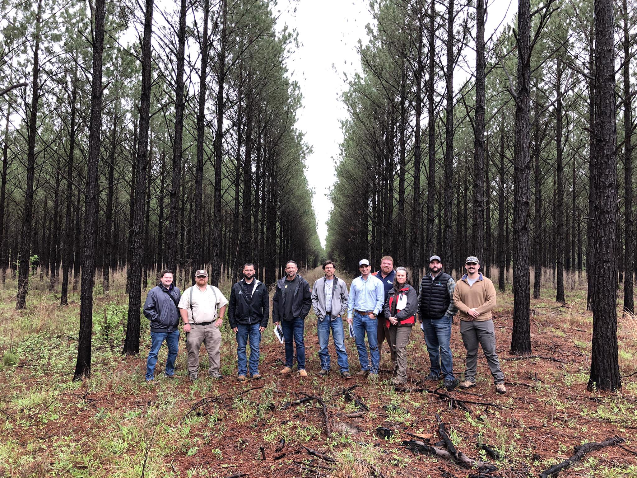 Group of people stand in between timber stand