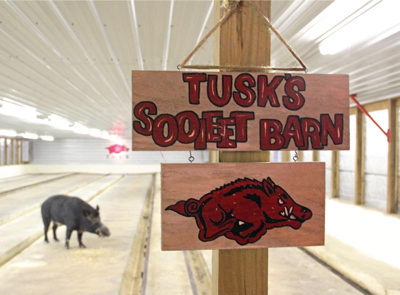 Tusk's Barn