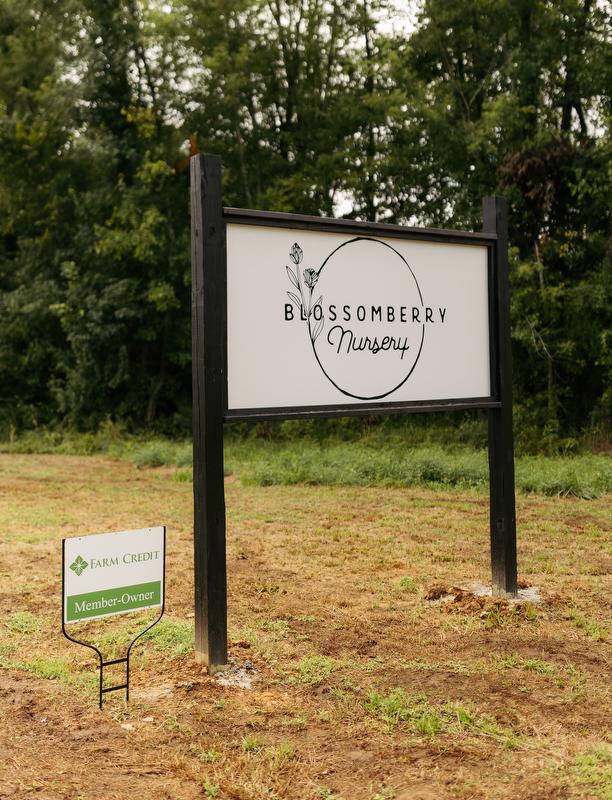 Visit Blossomberry Nursery in Clarksville, Arkansas
