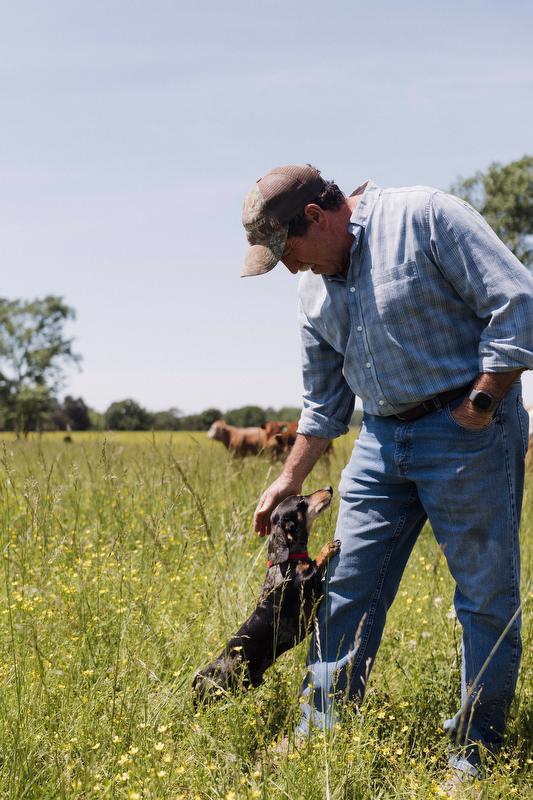 Steve Young cattleman Arkansas cattle loans cooperative farmer 