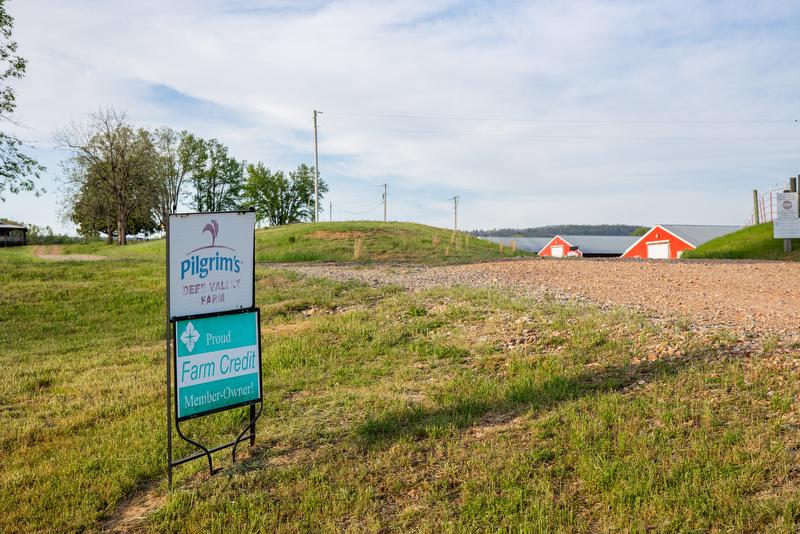 In foreground is a Pilgrim's grower sign and Farm Credit member sign, in background are red chicken houses