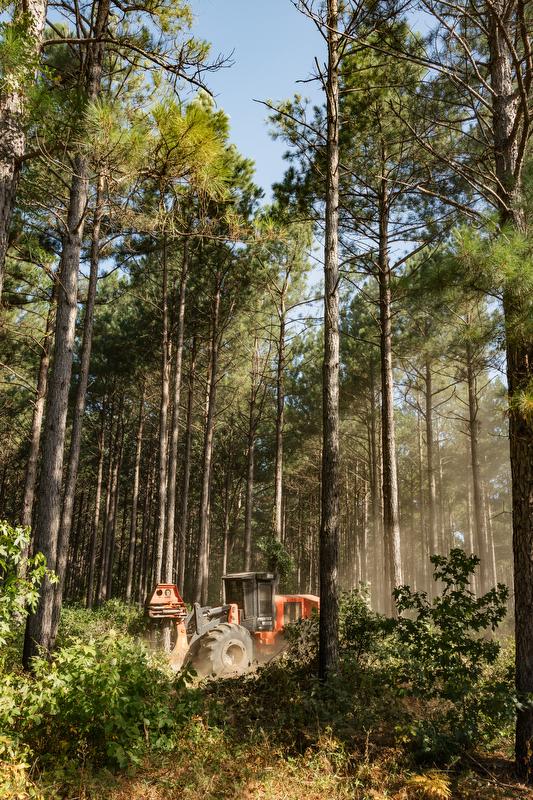 Logging equipment