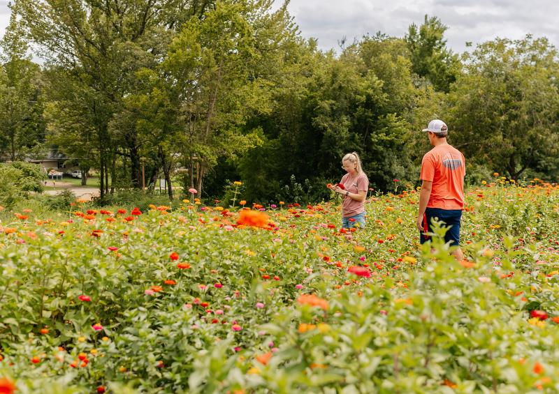 You pick flower farms to visit in Arkansas in 2023