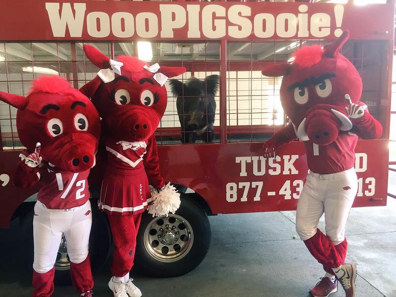 Tusk IV with Arkansas Razorback mascots