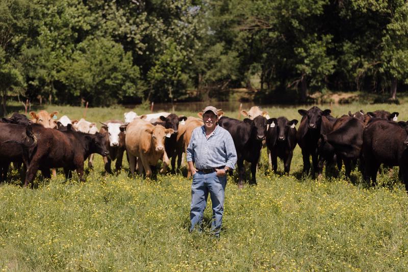 Steve Young cattleman Arkansas cattle loans cooperative farmer 