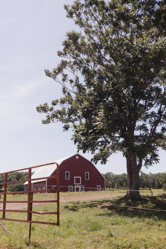 Steve Young cattleman Arkansas cattle loans cooperative farmer 
