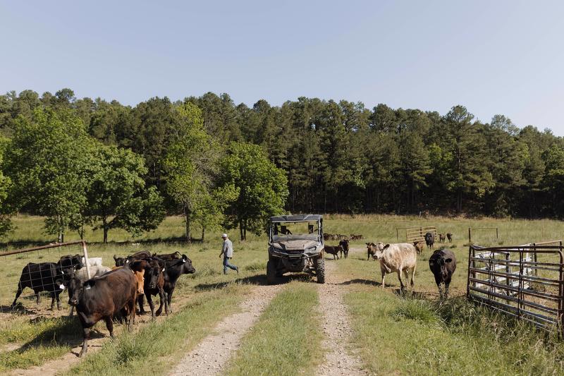 Gerald Strobel Farm Credit Director coopertive farm loans arkansas