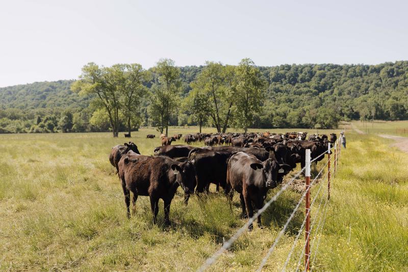 Gerald Strobel Farm Credit Director cooperative farm loans arkansas
