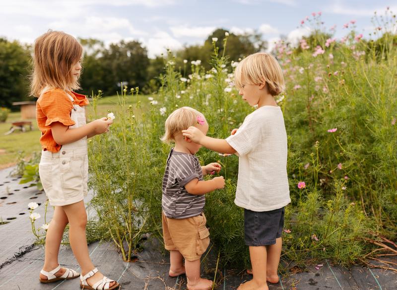 Witt Children at Blossomberry Nursery in Johnson County Arkansas