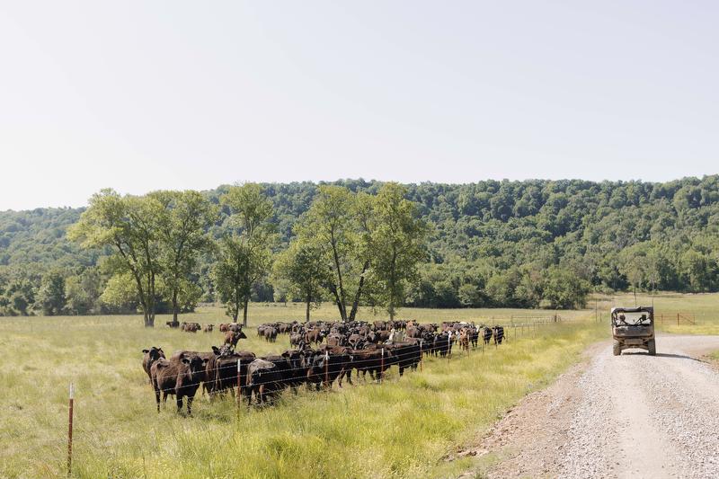 Gerald Strobel Farm Credit Director cooperative farm loans arkansas
