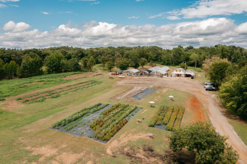 U-Pick flower farm in Clarksville, Arkansas