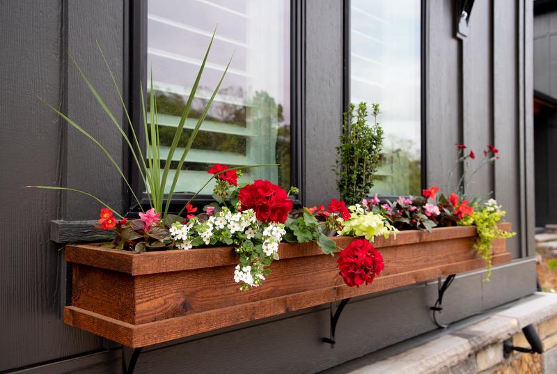 Vibrant flower boxes