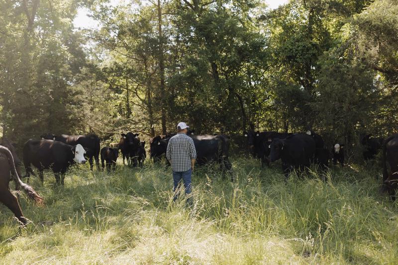 Gerald Strobel Farm Credit Director cooperative farm loans arkansas