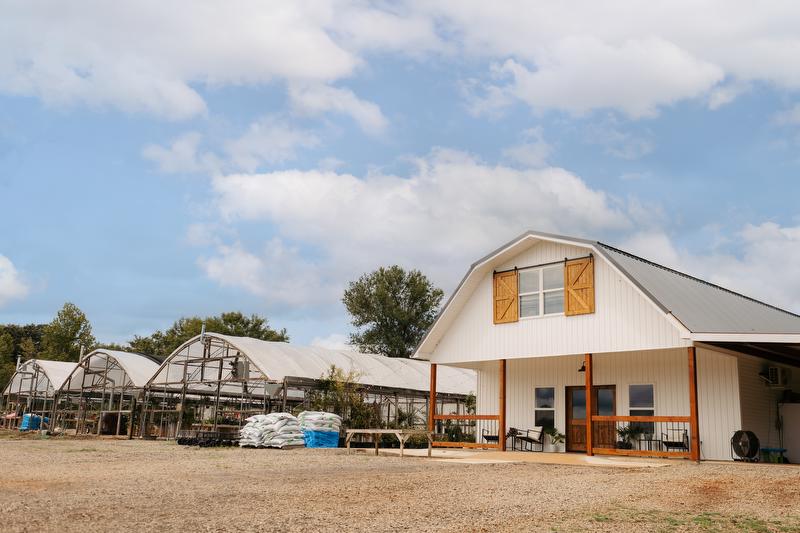 Blossomberry Nursery in Clarksville Arkansas Greenhouses and plant nursery