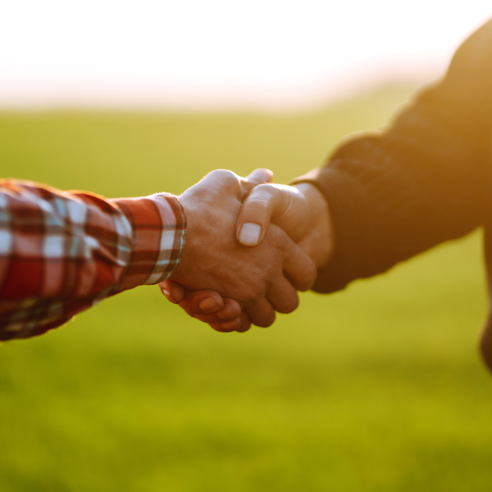 Two farmers shaking hands