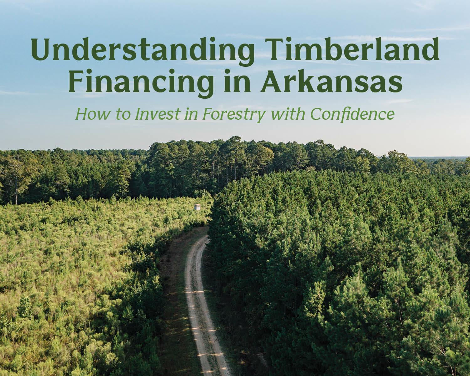 Arkansas timberland financing forestry investment Arkansas timber loans Arkansas Farm Credit timber loans how to finance timberland timber investment opportunities Arkansas forestry land loans