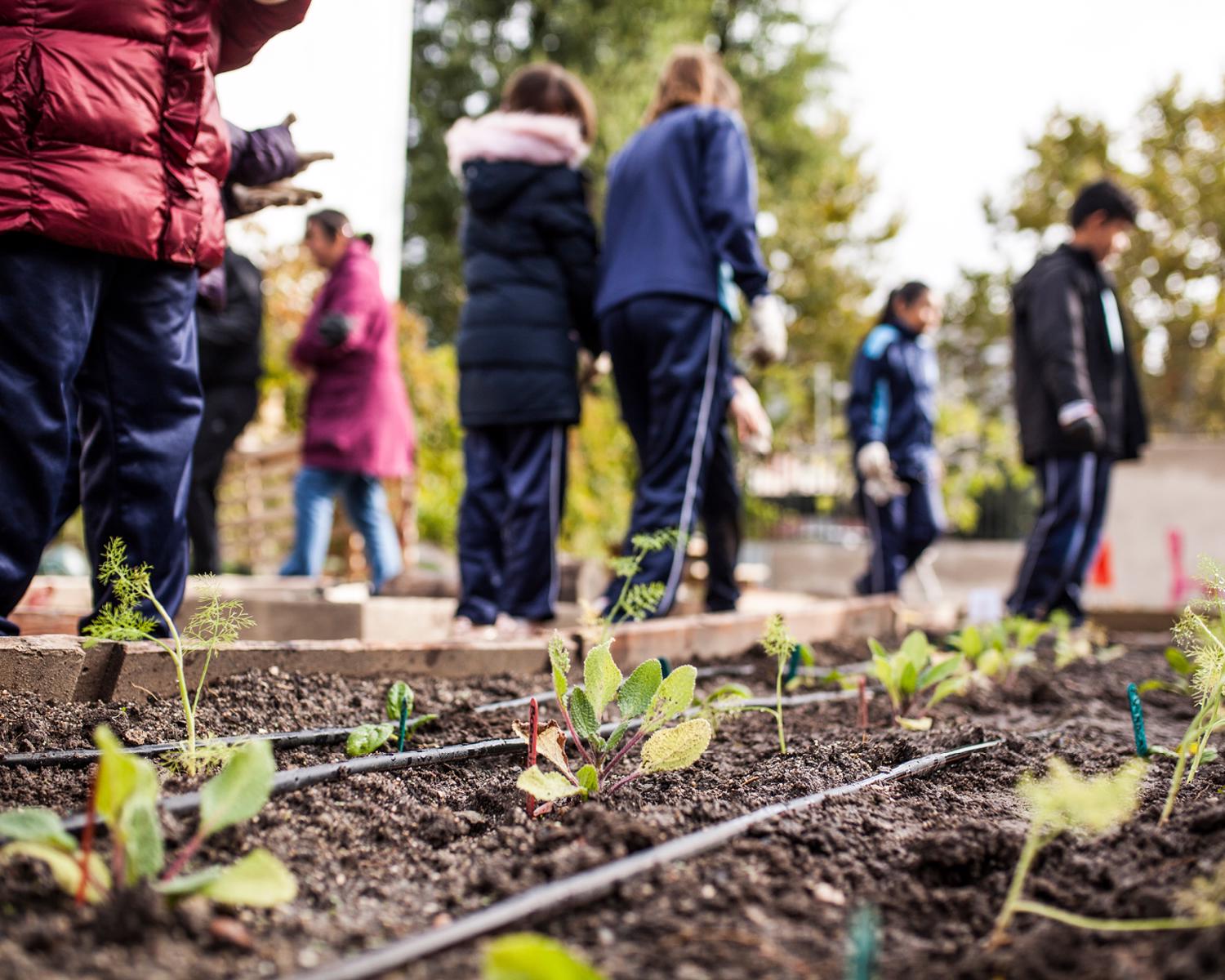 Arkansas Grown School Garden of the Year Contest Now Accepting Entries Through June 26