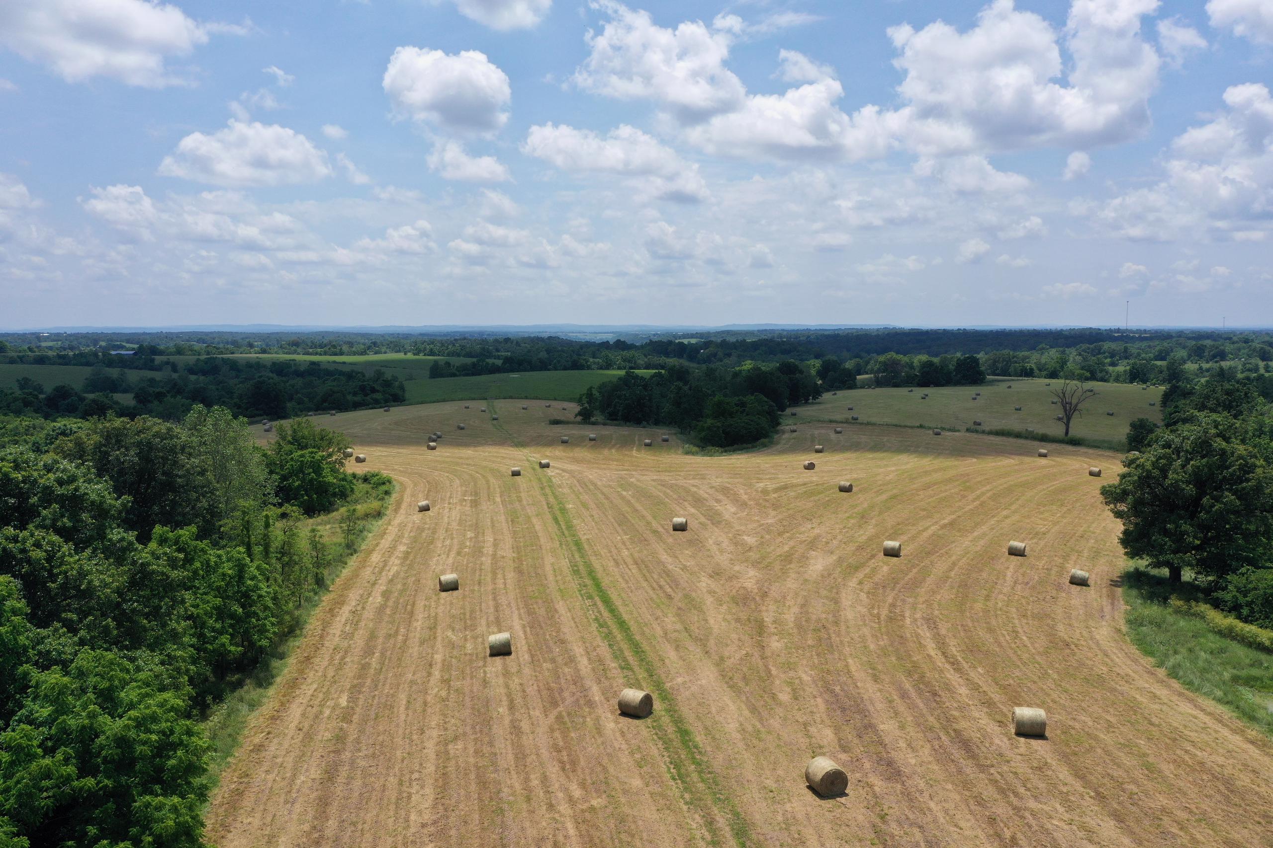 Aerial view of hay field
