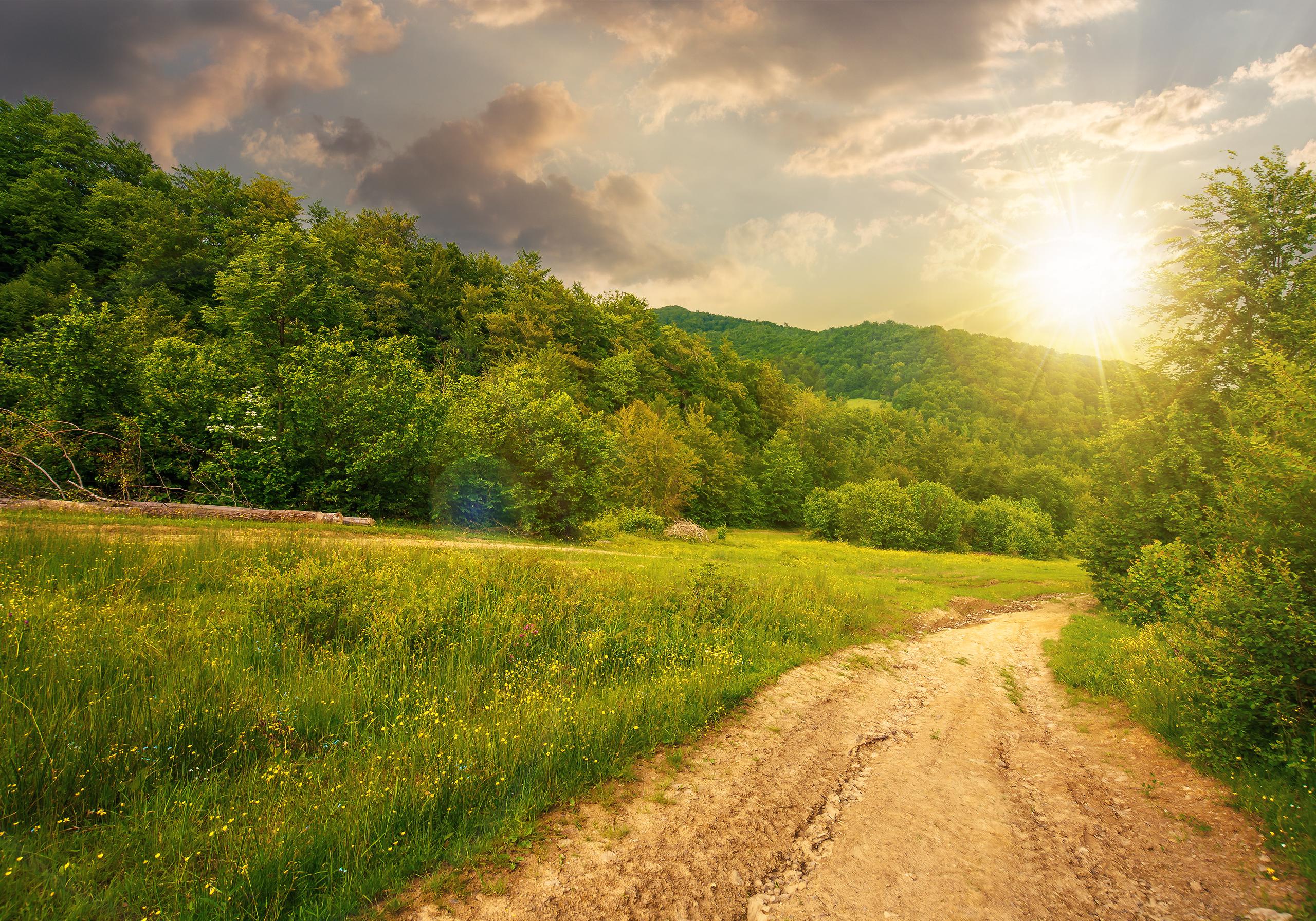 dirt road through forested countryside at sunset