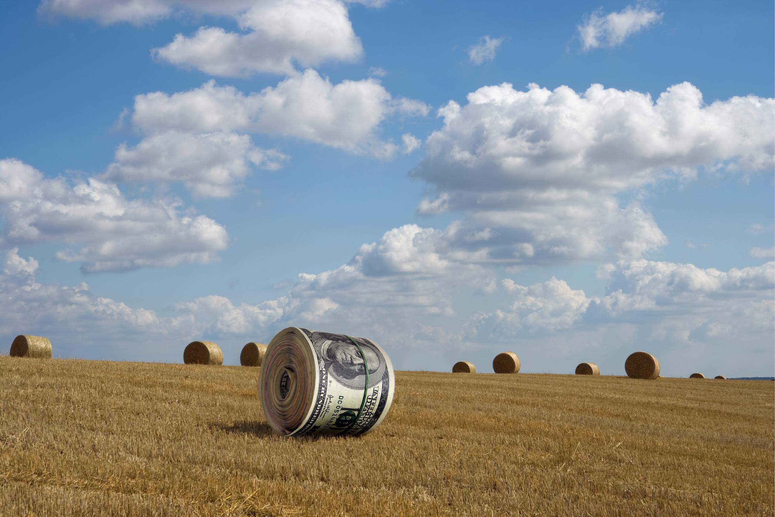 Haybales that look like rolls of money