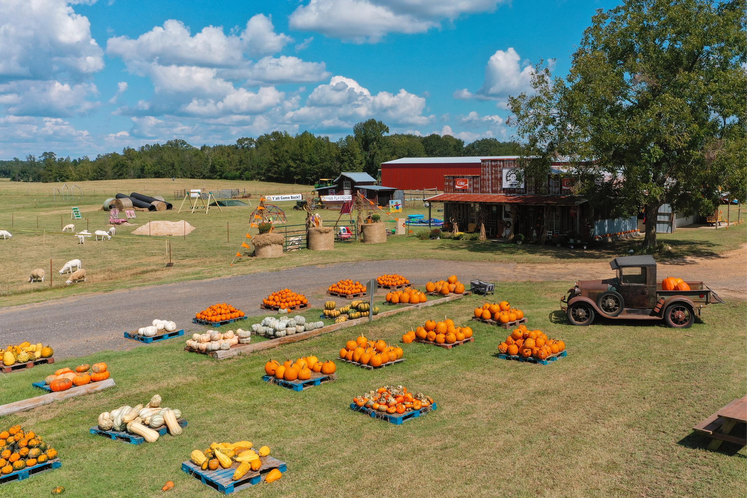 Miracle Farms Market