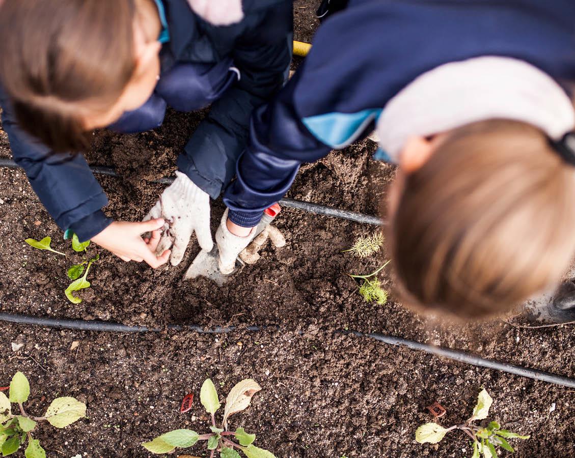 School Garden of the Year Contest 2023