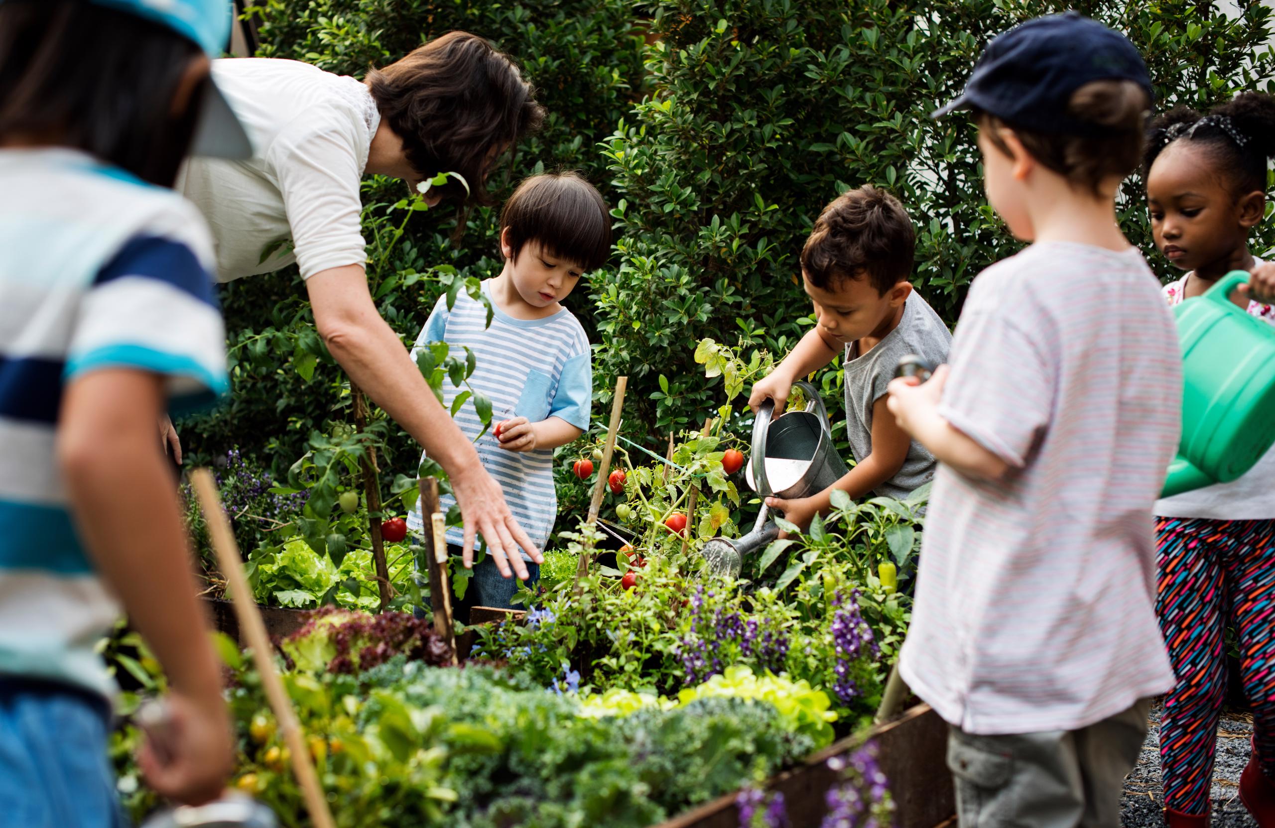 Group of kids and teacher in outdoor garden.